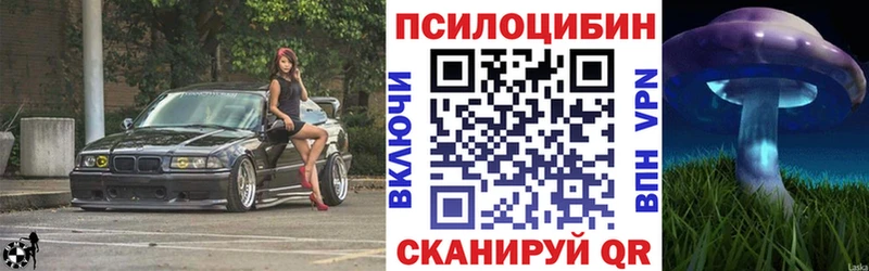 площадка как зайти купить Дмитриев Псилоцибиновые грибы Psilocybine cubensis гидра ссылка